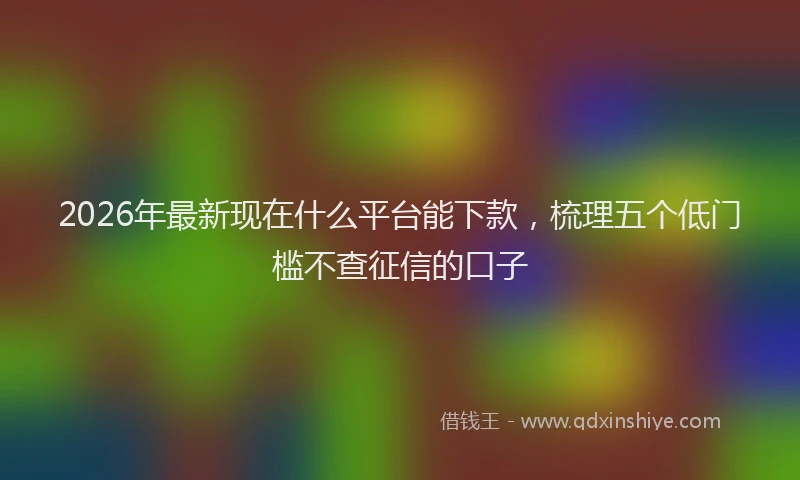 2026年最新现在什么平台能下款，梳理五个低门槛不查征信的口子