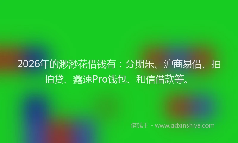 2026年的渺渺花借钱有：分期乐、沪商易借、拍拍贷、鑫速Pro钱包、和信借款等。