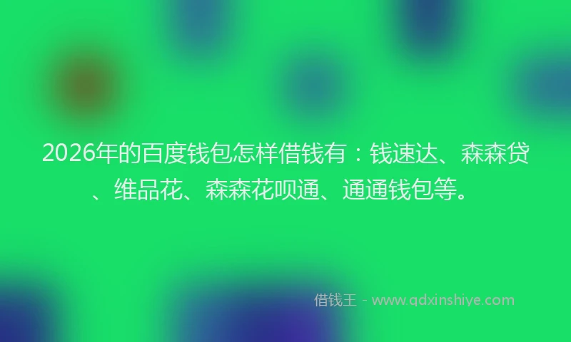 2026年的百度钱包怎样借钱有：钱速达、森森贷、维品花、森森花呗通、通通钱包等。