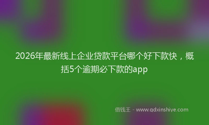2026年最新线上企业贷款平台哪个好下款快，概括5个逾期必下款的app