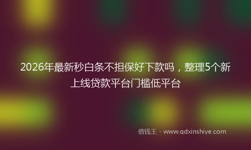 2026年最新秒白条不担保好下款吗，整理5个新上线贷款平台门槛低平台