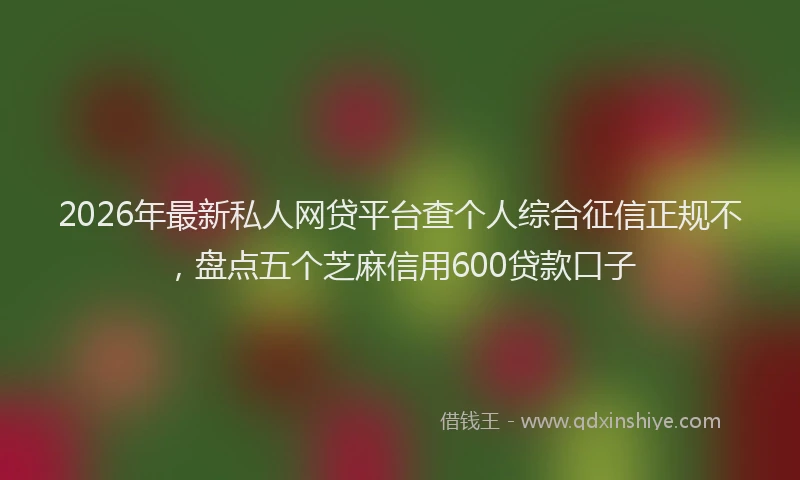 2026年最新私人网贷平台查个人综合征信正规不，盘点五个芝麻信用600贷款口子