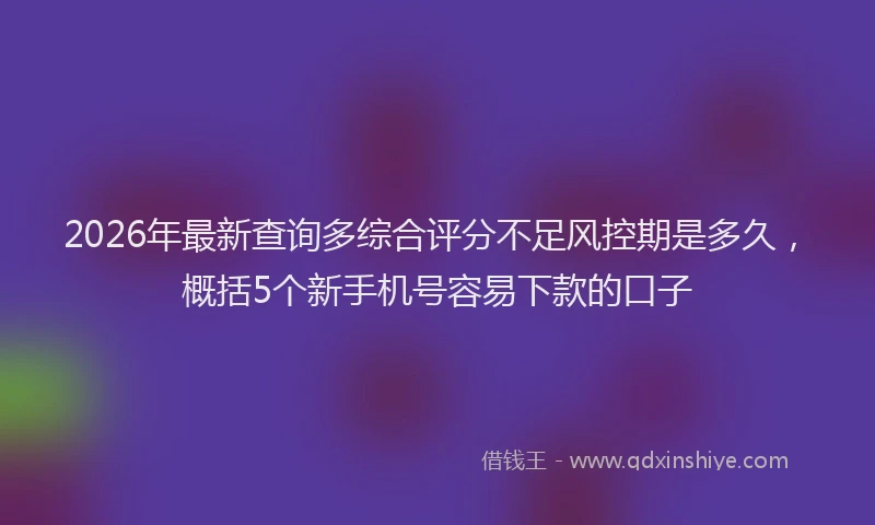 2026年最新查询多综合评分不足风控期是多久，概括5个新手机号容易下款的口子