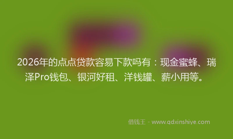 2026年的点点贷款容易下款吗有：现金蜜蜂、瑞泽Pro钱包、银河好租、洋钱罐、薪小用等。