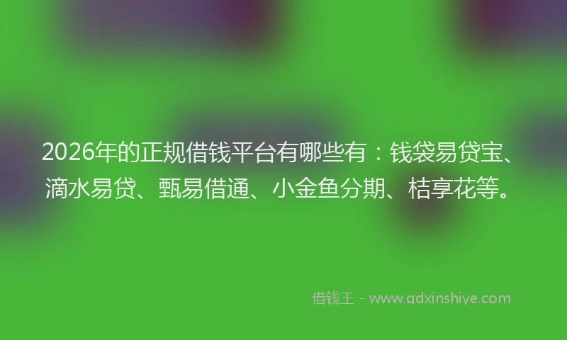2026年的正规借钱平台有哪些有：钱袋易贷宝、滴水易贷、甄易借通、小金鱼分期、桔享花等。