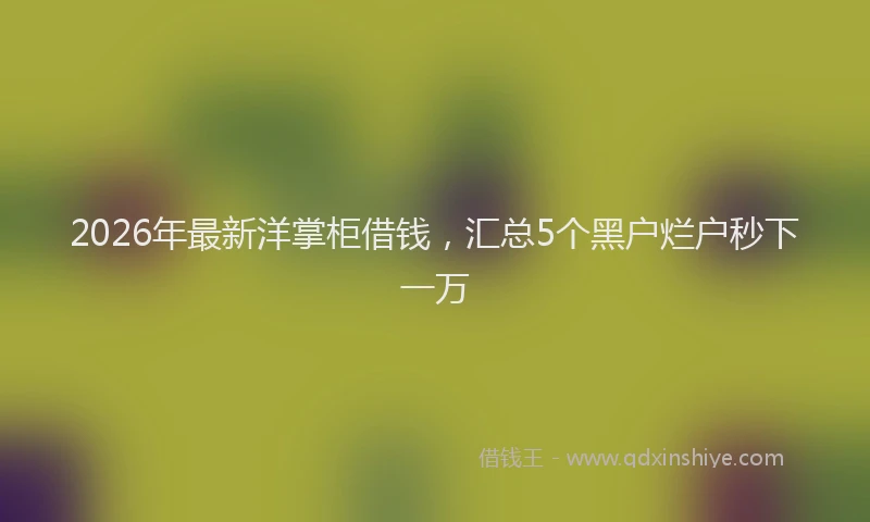 2026年最新洋掌柜借钱，汇总5个黑户烂户秒下一万