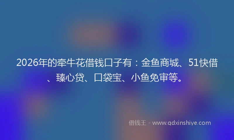 2026年的牵牛花借钱口子有：金鱼商城、51快借、臻心贷、口袋宝、小鱼免审等。