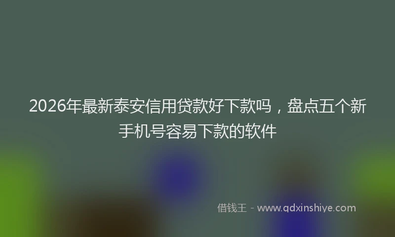 2026年最新泰安信用贷款好下款吗，盘点五个新手机号容易下款的软件