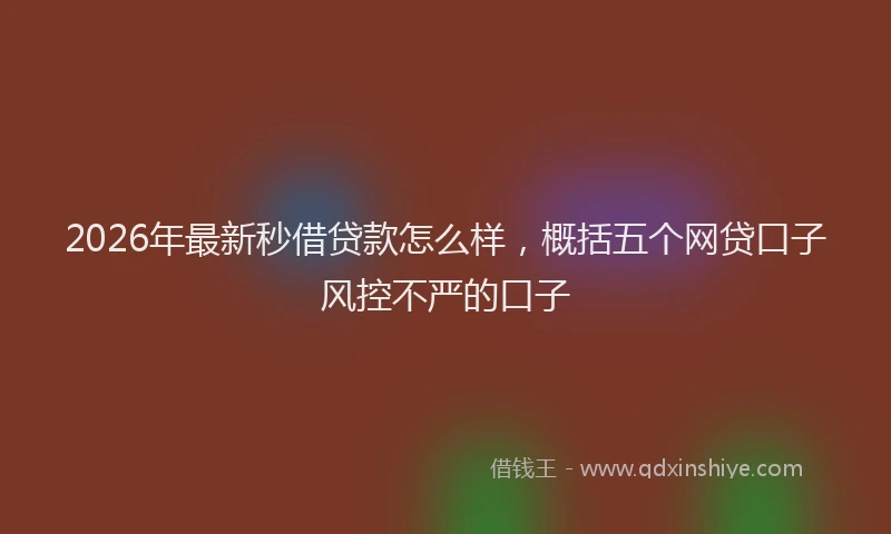 2026年最新秒借贷款怎么样，概括五个网贷口子风控不严的口子