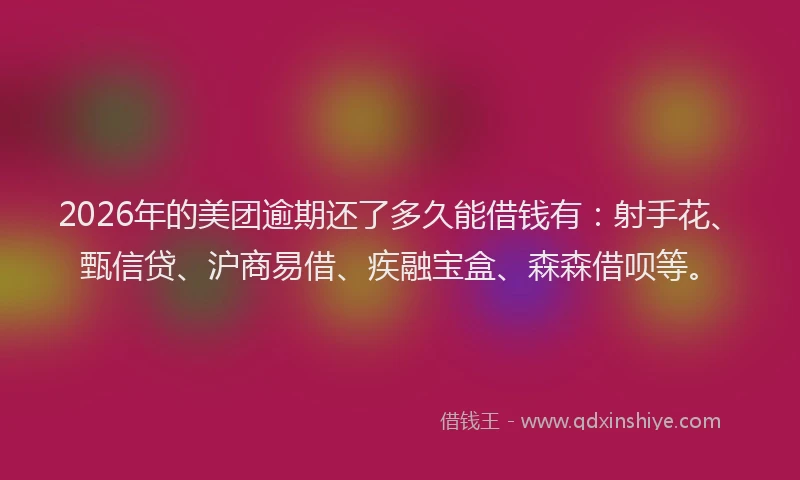 2026年的美团逾期还了多久能借钱有：射手花、甄信贷、沪商易借、疾融宝盒、森森借呗等。