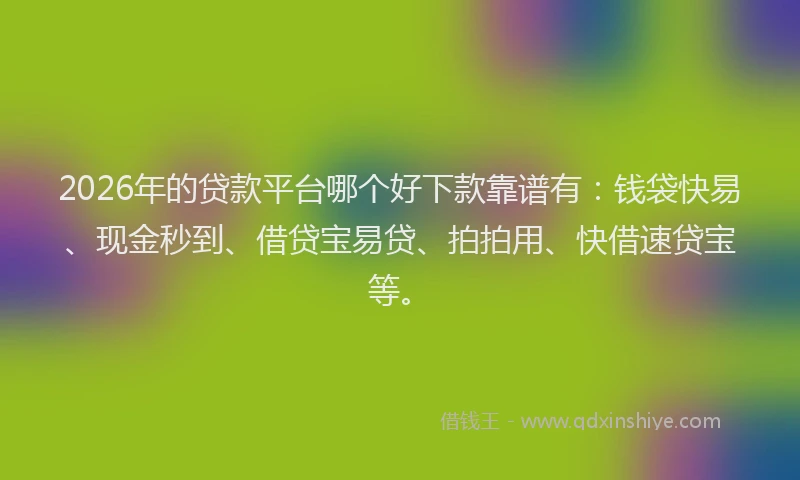 2026年的贷款平台哪个好下款靠谱有：钱袋快易、现金秒到、借贷宝易贷、拍拍用、快借速贷宝等。