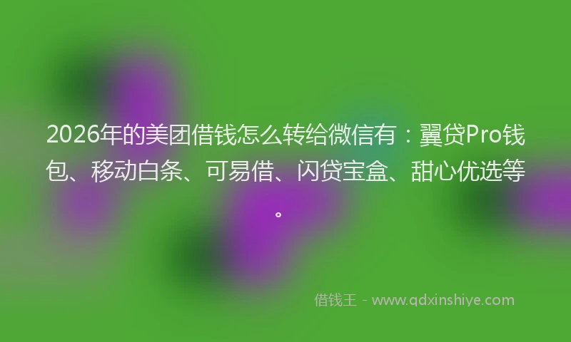 2026年的美团借钱怎么转给微信有：翼贷Pro钱包、移动白条、可易借、闪贷宝盒、甜心优选等。