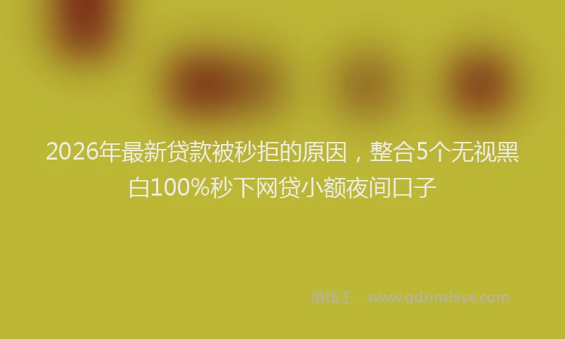 2026年最新贷款被秒拒的原因，整合5个无视黑白100%秒下网贷小额夜间口子