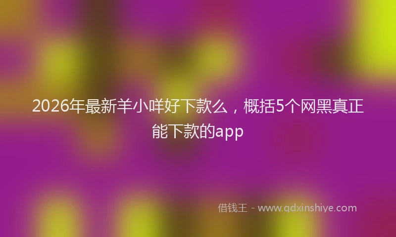 2026年最新羊小咩好下款么，概括5个网黑真正能下款的app