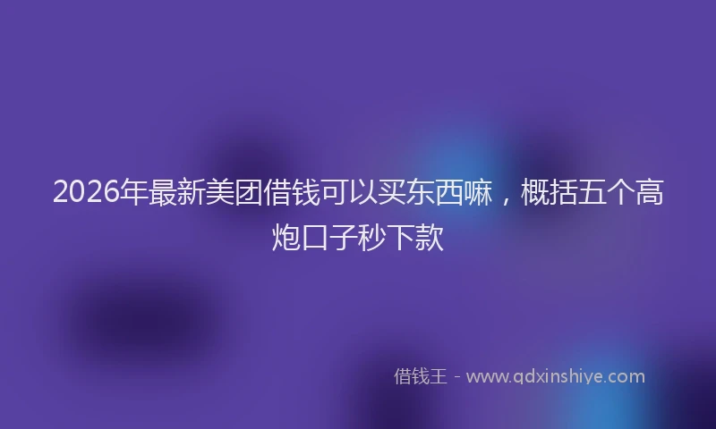 2026年最新美团借钱可以买东西嘛，概括五个高炮口子秒下款