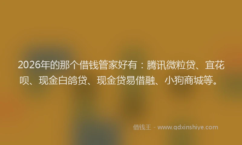 2026年的那个借钱管家好有：腾讯微粒贷、宜花呗、现金白鸽贷、现金贷易借融、小狗商城等。