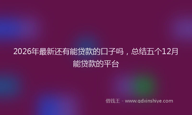 2026年最新还有能贷款的口子吗，总结五个12月能贷款的平台