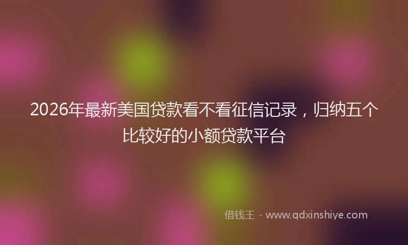2026年最新美国贷款看不看征信记录，归纳五个比较好的小额贷款平台