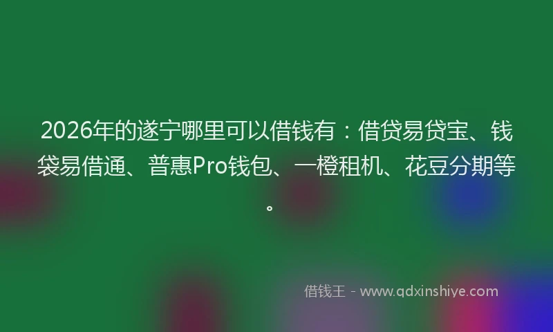 2026年的遂宁哪里可以借钱有：借贷易贷宝、钱袋易借通、普惠Pro钱包、一橙租机、花豆分期等。