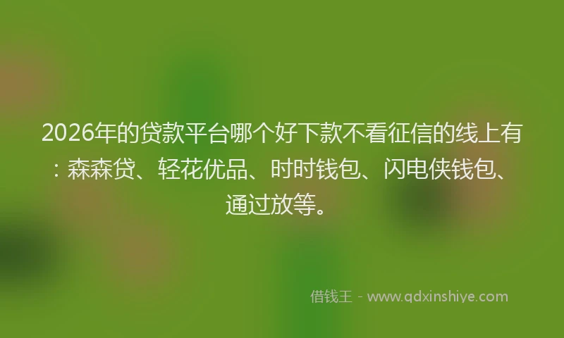 2026年的贷款平台哪个好下款不看征信的线上有：森森贷、轻花优品、时时钱包、闪电侠钱包、通过放等。