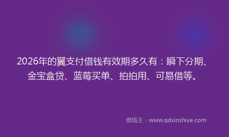 2026年的翼支付借钱有效期多久有：瞬下分期、金宝盒贷、蓝莓买单、拍拍用、可易借等。