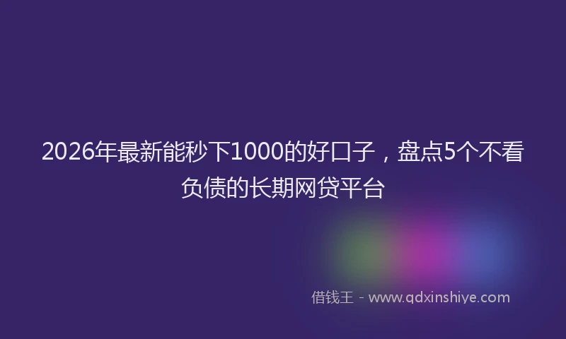 2026年最新能秒下1000的好口子，盘点5个不看负债的长期网贷平台