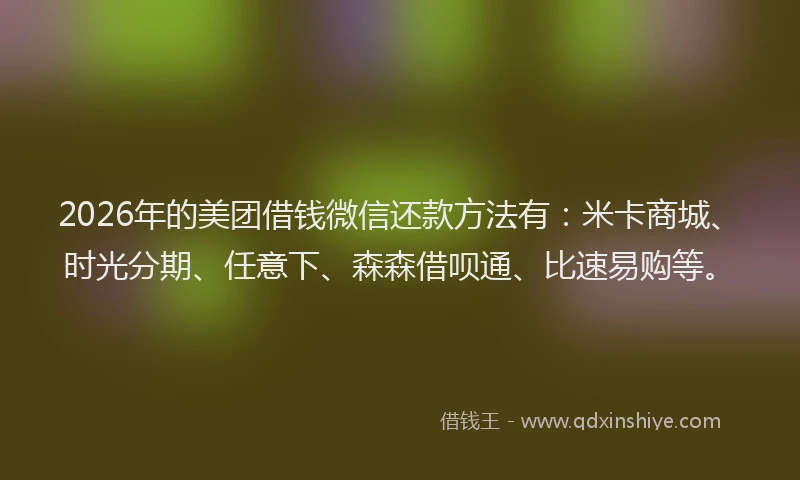 2026年的美团借钱微信还款方法有：米卡商城、时光分期、任意下、森森借呗通、比速易购等。