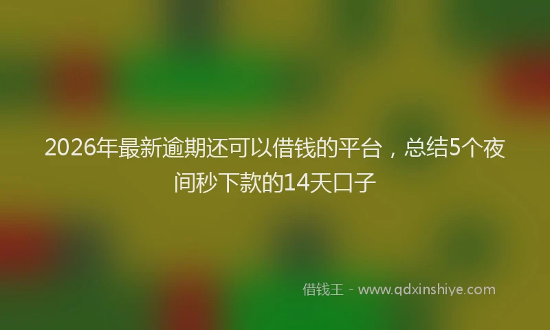 2026年最新逾期还可以借钱的平台，总结5个夜间秒下款的14天口子