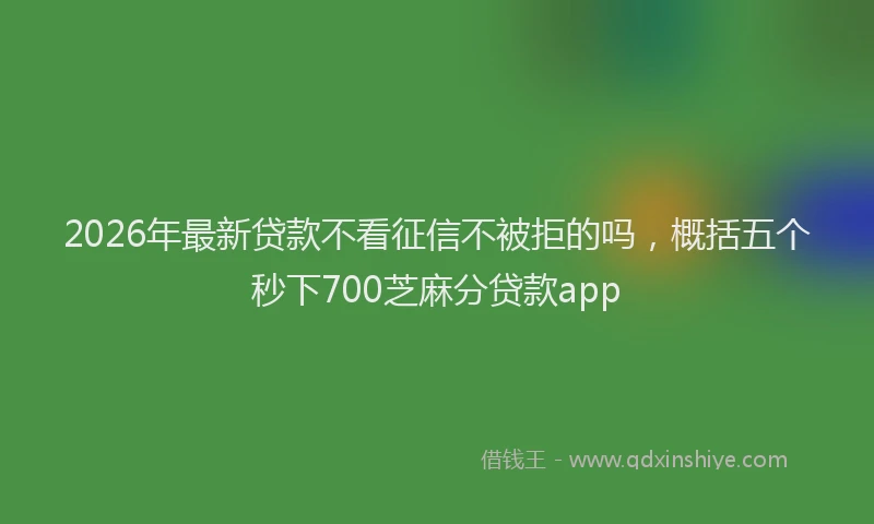 2026年最新贷款不看征信不被拒的吗，概括五个秒下700芝麻分贷款app
