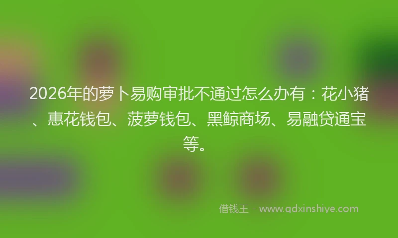 2026年的萝卜易购审批不通过怎么办有：花小猪、惠花钱包、菠萝钱包、黑鲸商场、易融贷通宝等。