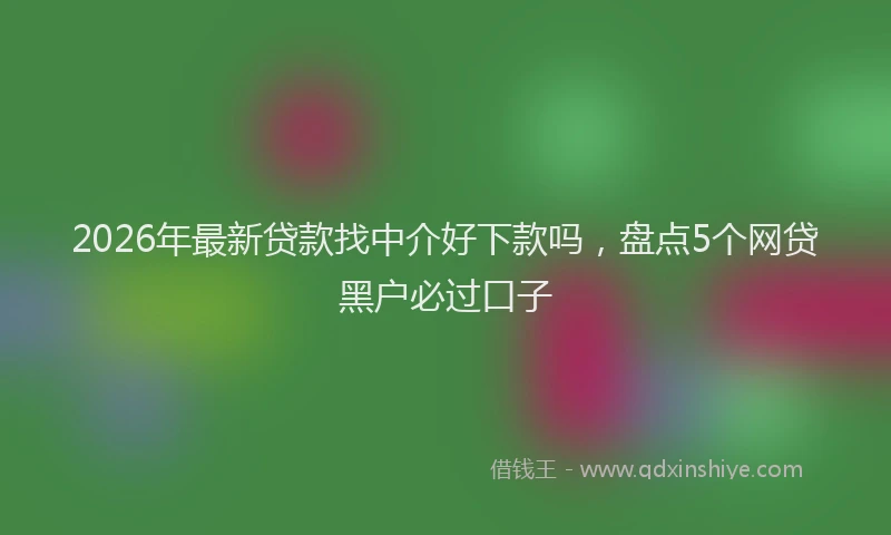 2026年最新贷款找中介好下款吗，盘点5个网贷黑户必过口子