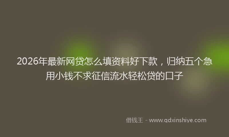 2026年最新网贷怎么填资料好下款，归纳五个急用小钱不求征信流水轻松贷的口子