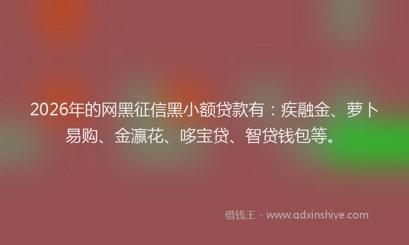 2026年的网黑征信黑小额贷款有：疾融金、萝卜易购、金瀛花、哆宝贷、智贷钱包等。