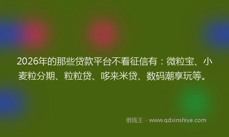 2026年的那些贷款平台不看征信有：微粒宝、小麦粒分期、粒粒贷、哆来米贷、数码潮享玩等。