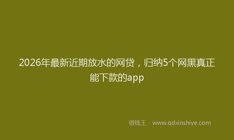2026年最新近期放水的网贷，归纳5个网黑真正能下款的app