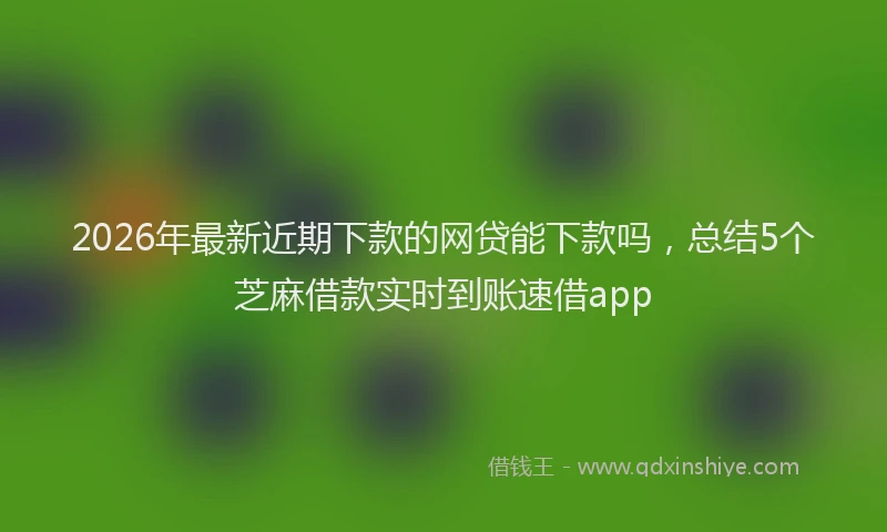 2026年最新近期下款的网贷能下款吗，总结5个芝麻借款实时到账速借app