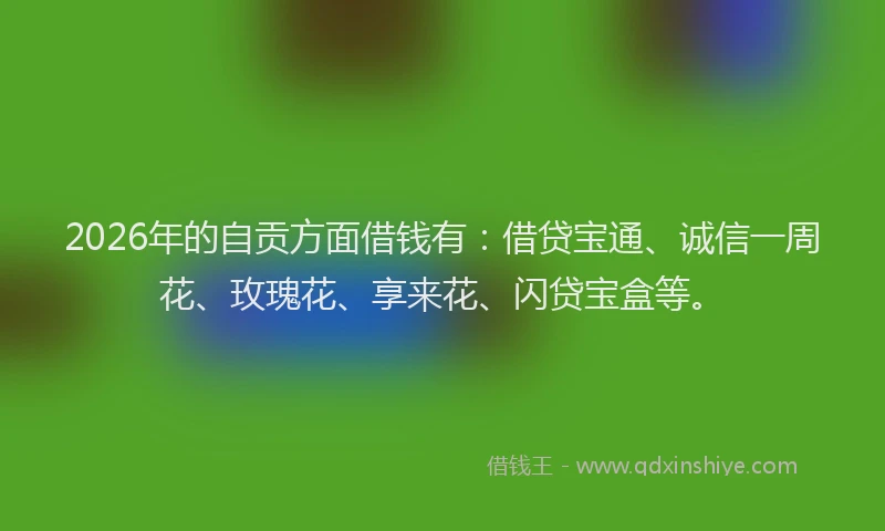 2026年的自贡方面借钱有：借贷宝通、诚信一周花、玫瑰花、享来花、闪贷宝盒等。