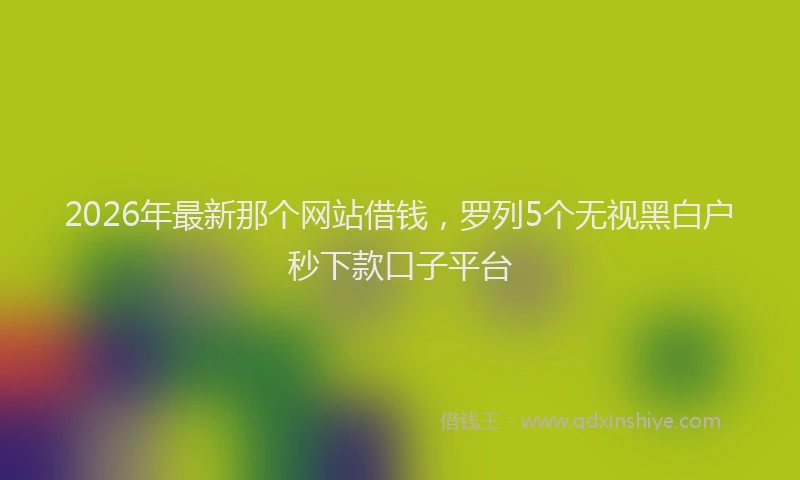 2026年最新那个网站借钱，罗列5个无视黑白户秒下款口子平台