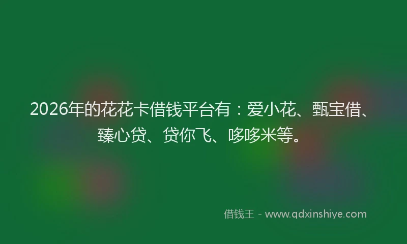 2026年的花花卡借钱平台有：爱小花、甄宝借、臻心贷、贷你飞、哆哆米等。
