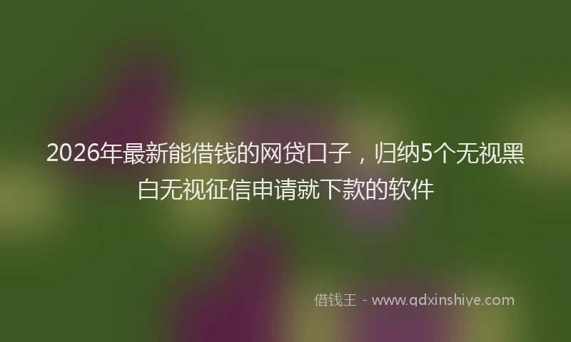 2026年最新能借钱的网贷口子，归纳5个无视黑白无视征信申请就下款的软件