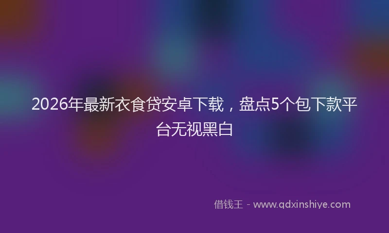 2026年最新衣食贷安卓下载，盘点5个包下款平台无视黑白