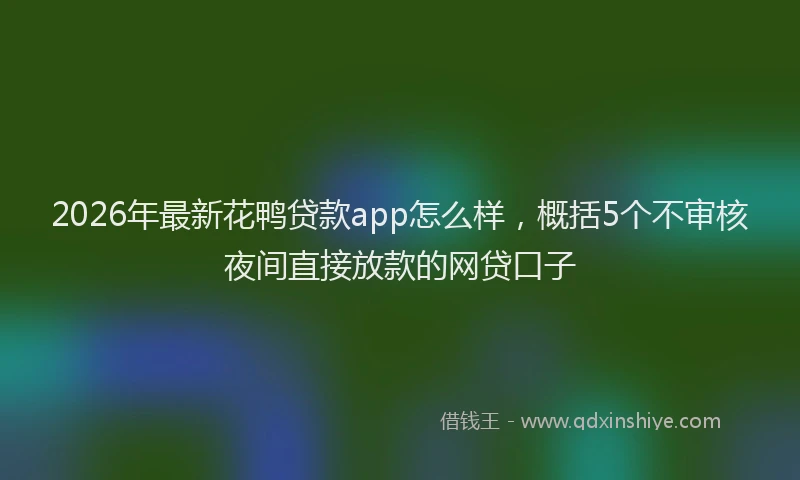2026年最新花鸭贷款app怎么样，概括5个不审核夜间直接放款的网贷口子