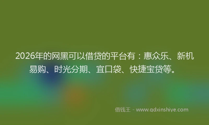 2026年的网黑可以借贷的平台有：惠众乐、新机易购、时光分期、宜口袋、快捷宝贷等。