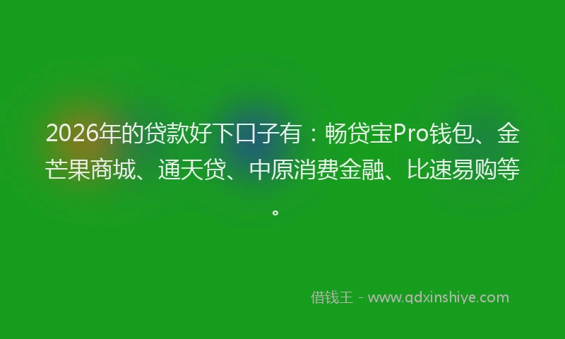 2026年的贷款好下口子有：畅贷宝Pro钱包、金芒果商城、通天贷、中原消费金融、比速易购等。