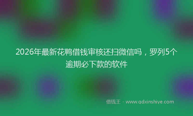 2026年最新花鸭借钱审核还扫微信吗，罗列5个逾期必下款的软件
