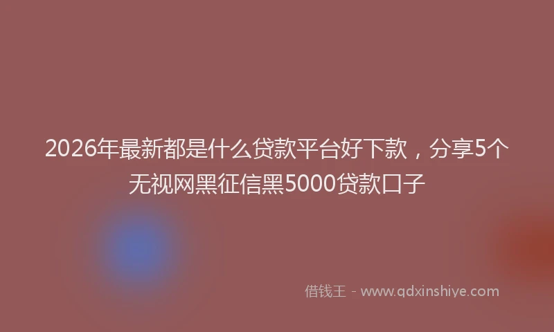 2026年最新都是什么贷款平台好下款，分享5个无视网黑征信黑5000贷款口子