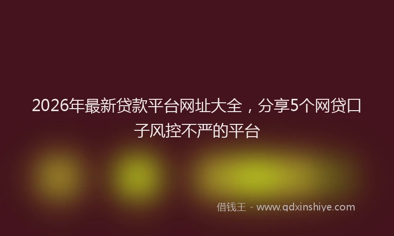 2026年最新贷款平台网址大全，分享5个网贷口子风控不严的平台