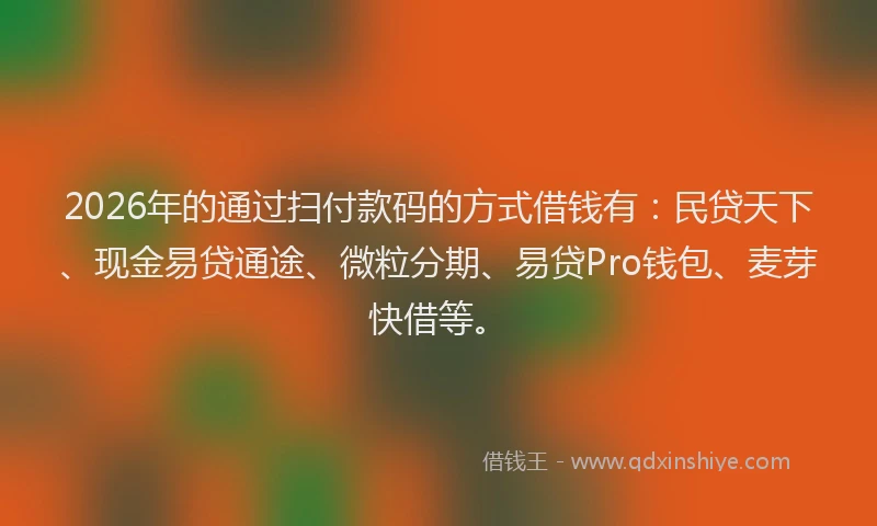2026年的通过扫付款码的方式借钱有：民贷天下、现金易贷通途、微粒分期、易贷Pro钱包、麦芽快借等。