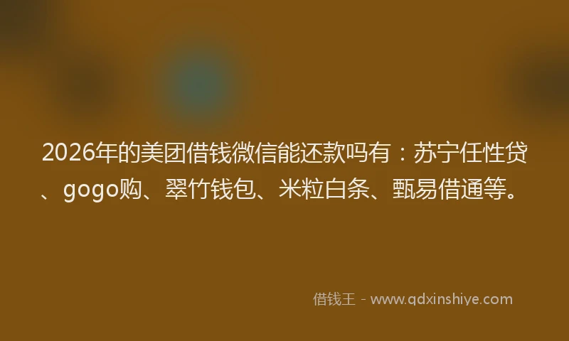 2026年的美团借钱微信能还款吗有：苏宁任性贷、gogo购、翠竹钱包、米粒白条、甄易借通等。