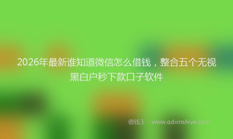 2026年最新谁知道微信怎么借钱，整合五个无视黑白户秒下款口子软件